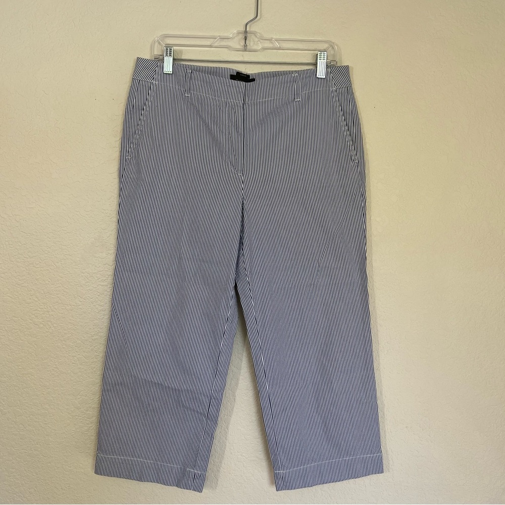 Womens Talbots Blue White Chelsea Striped Pants Size 8